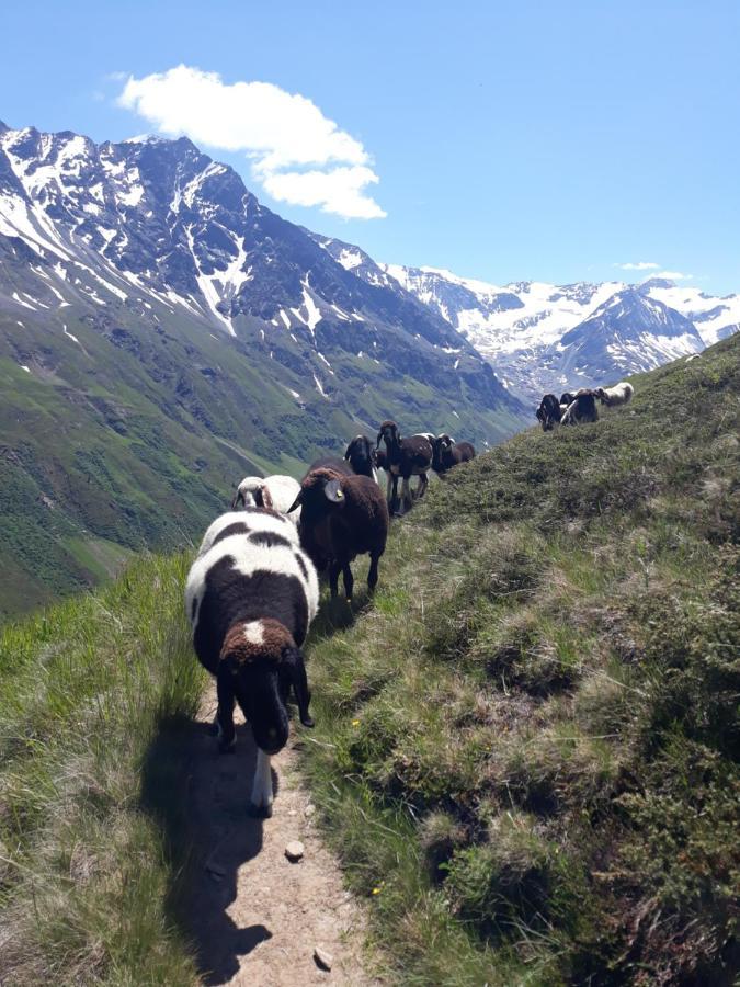Berg-Juwel Lejlighed Sankt Leonhard im Pitztal Eksteriør billede